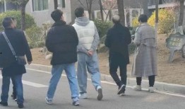 网曝吃瓜事件免费看,免费观看背后的真相