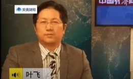 网红爆料叶飞简介图片视频,从简介图片到视频，全面解析他的网红之路