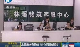 河南今日都市爆料,揭秘热点事件背后的真相